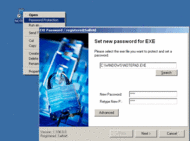 Exe Password screenshot